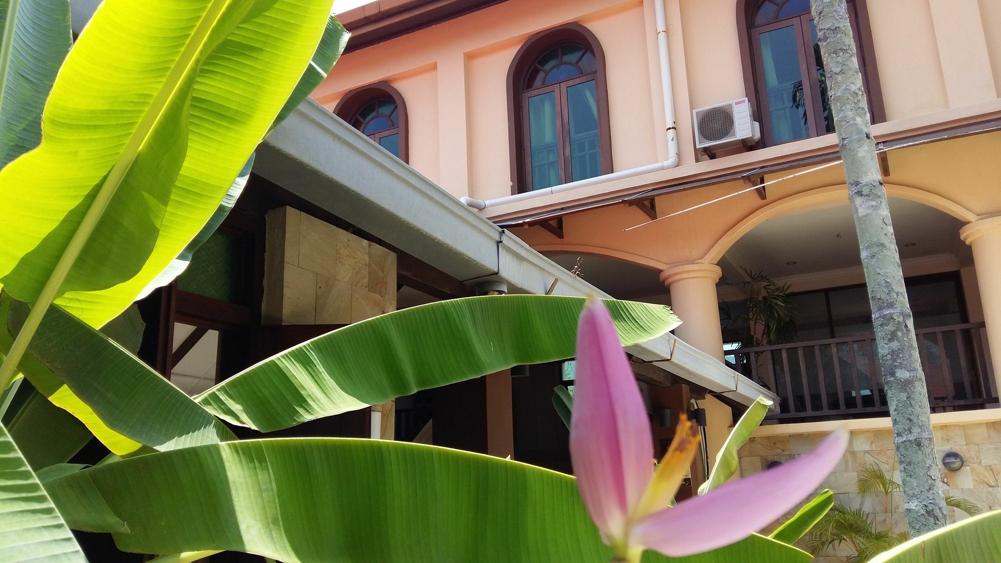 Oyo 1149 Feringghi Hotel Batu Ferringhi Zewnętrze zdjęcie
